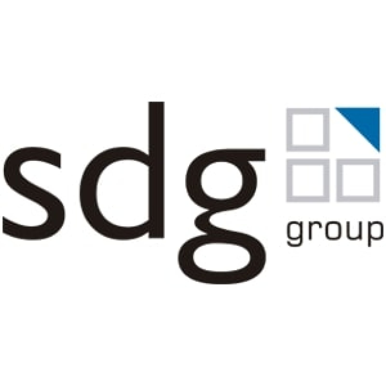 Logo SDG Group 