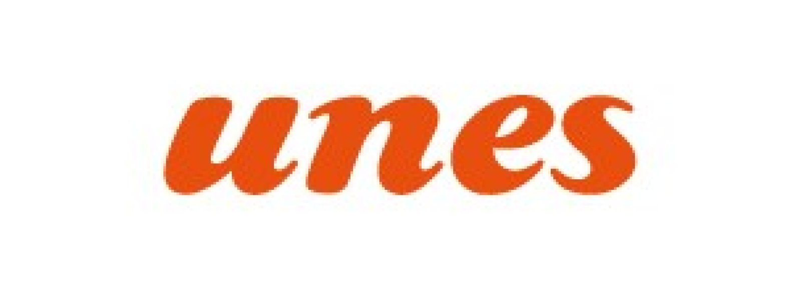 Logo Unes Maxi S.p.A.
