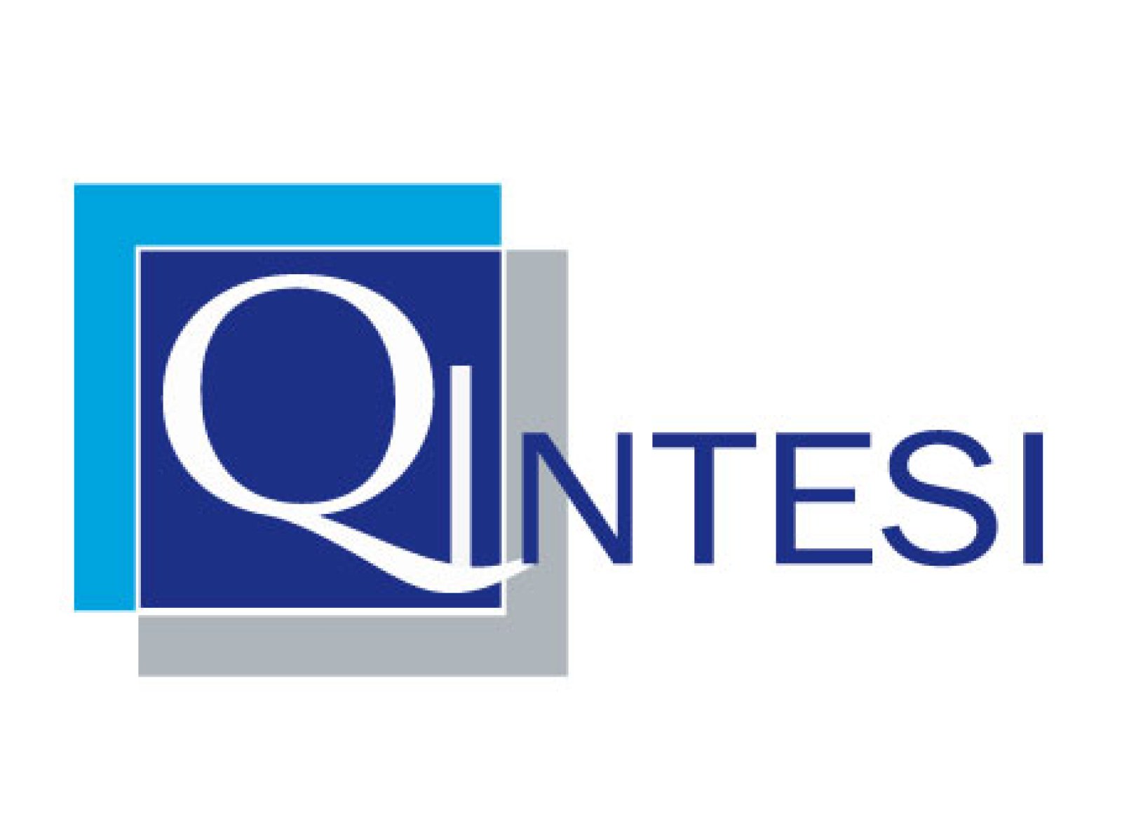Logo Qintesi S.p.A.