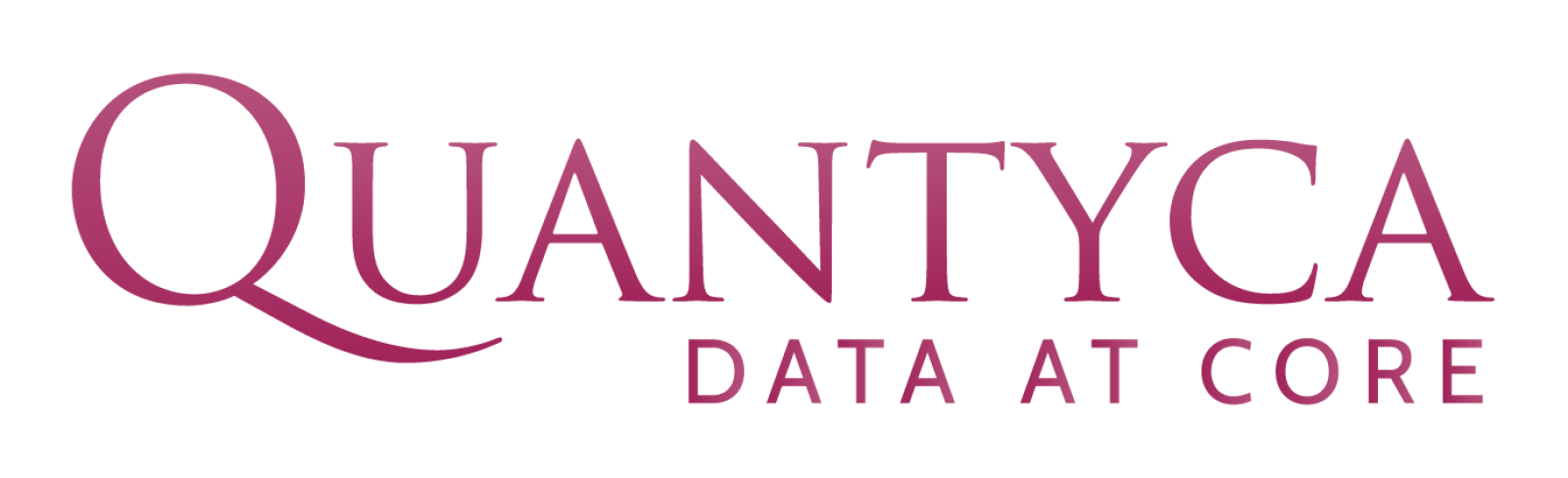 Logo Quantyca